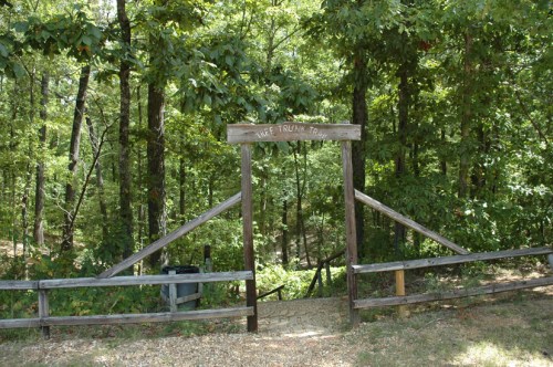 A wooden archway with a sign reading "Life Trail" leads into a lush, green forested area.