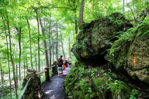 A forest path with lush greenery, large rocks, and people walking with a dog and buckets.