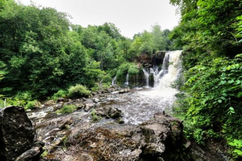 A serene waterfall cascading over rocks, surrounded by lush green trees and foliage.