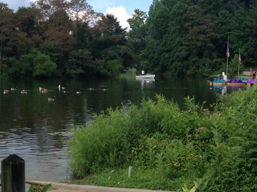 A serene lake scene with a small boat, ducks swimming, and lush greenery surrounding the water.