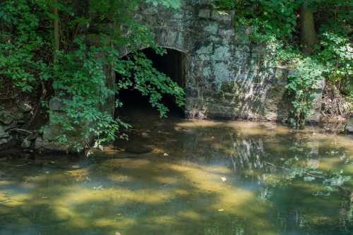 A stone archway leads into a dark tunnel, surrounded by lush greenery and calm water reflecting sunlight.