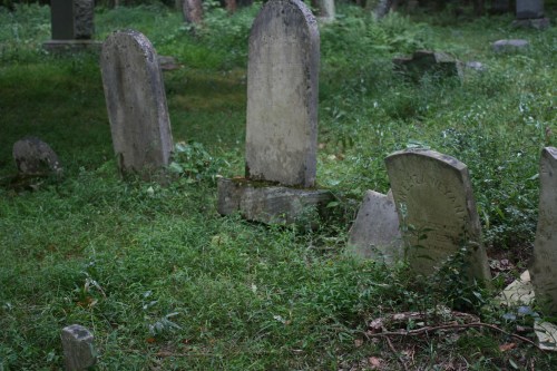 A serene graveyard scene with weathered tombstones surrounded by lush green grass and overgrown vegetation.