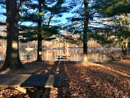 A serene lakeside scene with picnic tables, surrounded by trees and autumn leaves, reflecting sunlight on the water.
