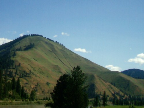 alt