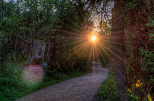 A sun sets behind trees along a winding dirt path, casting rays of light through the foliage.