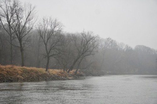 A misty river scene with bare trees lining the shore, creating a serene, foggy atmosphere.
