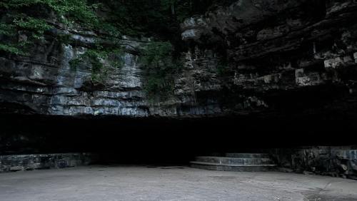 A dark cave entrance surrounded by rocky walls and greenery, with stone steps leading into the shadows.