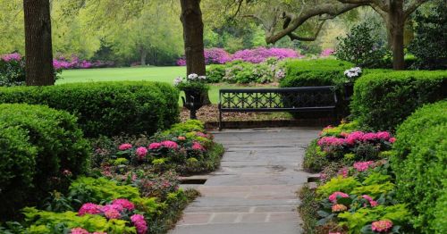 A serene garden path lined with colorful flowers, leading to a bench surrounded by lush greenery and blooming azaleas.