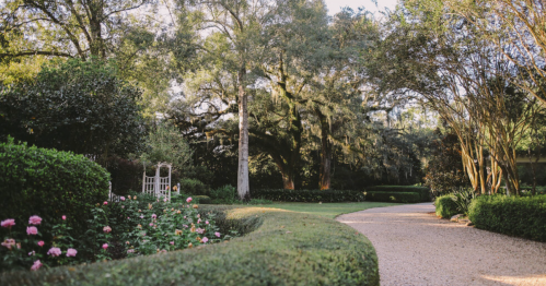 A serene garden path lined with lush greenery and blooming flowers, surrounded by tall trees and soft sunlight.
