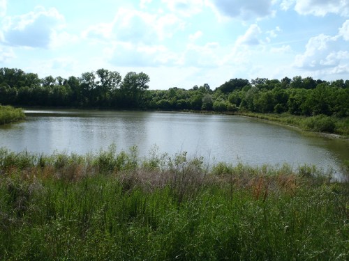 A serene pond surrounded by lush greenery and trees under a partly cloudy sky.