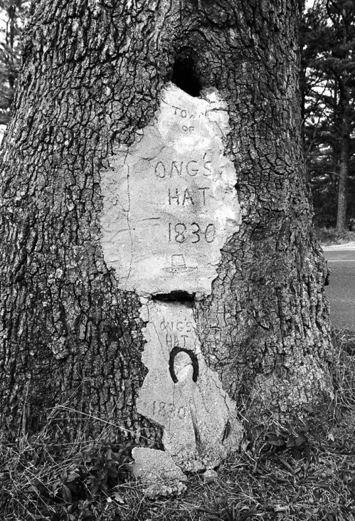 A weathered tree trunk with a carved inscription reading "Ong's Hat 1830" and a faint figure below it.