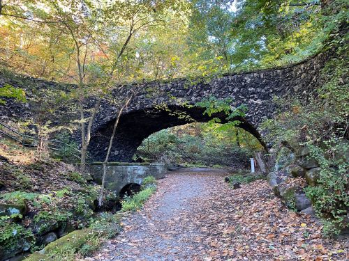 A stone arch bridge over a path surrounded by trees and autumn leaves in a serene forest setting.