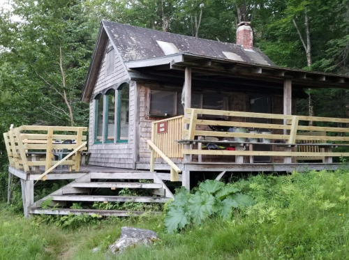 A rustic wooden cabin with a porch, surrounded by lush greenery and trees.