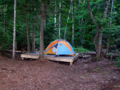 A colorful tent set up on a wooden platform in a lush green forest.