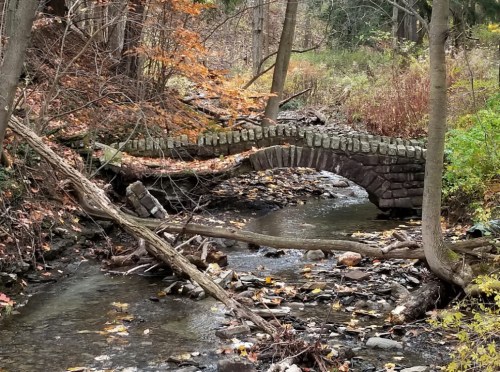 A stone arch bridge spans a small stream, surrounded by autumn foliage and fallen branches.