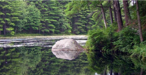A serene lake surrounded by lush green trees, featuring a large rock reflecting in the calm water.