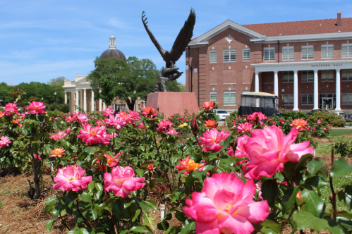 A vibrant rose garden in front of a building, featuring a large eagle statue against a clear blue sky.