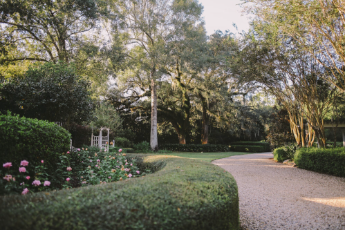 A serene garden path lined with lush greenery and blooming flowers, leading through a tranquil landscape.