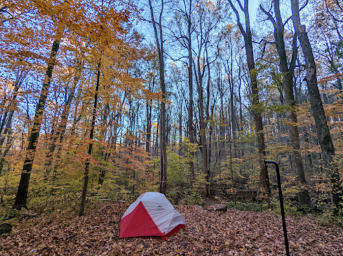 A red and white tent set among colorful autumn trees and fallen leaves in a serene forest.