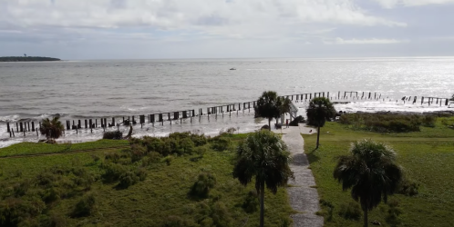 A coastal scene featuring a grassy area, palm trees, and a weathered pier extending into the ocean under a cloudy sky.