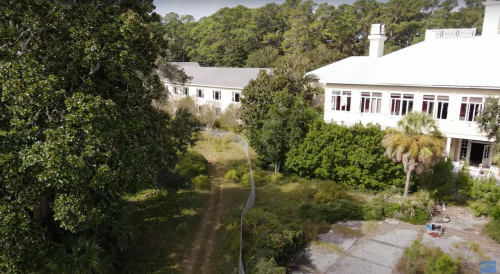 Overgrown path leading to abandoned buildings surrounded by lush greenery and trees.