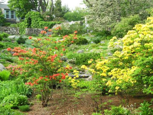 A vibrant garden featuring blooming red and yellow flowers among lush greenery and rocky pathways.
