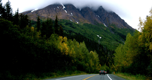 A scenic road winds through vibrant autumn trees, leading to a mountain shrouded in clouds.