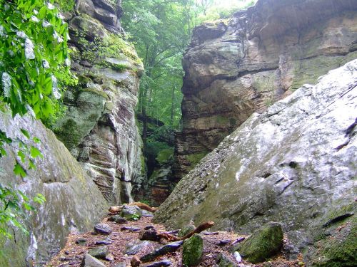 A narrow canyon surrounded by tall, moss-covered rock formations and lush green trees.