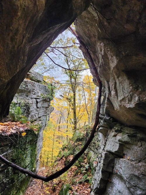 A view through a rocky crevice, showcasing vibrant autumn trees and a clear sky.
