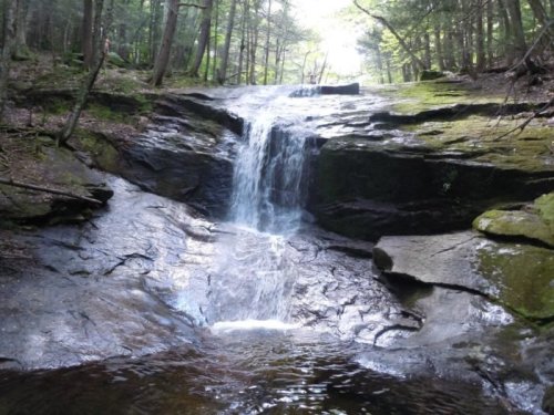 A serene waterfall cascading over rocky terrain, surrounded by lush green trees in a tranquil forest setting.
