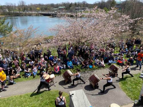 A vibrant outdoor scene with performers drumming in front of a large crowd, surrounded by cherry blossoms and a lake.