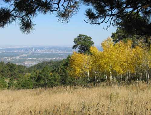 A scenic view of a grassy field with yellow aspen trees and a distant city skyline under a clear blue sky.