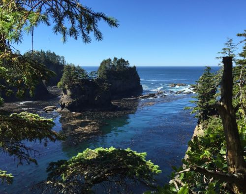 A serene coastal view featuring rocky islands, clear blue water, and lush greenery under a bright blue sky.