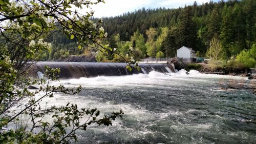 A serene river scene featuring a dam, flowing water, and lush greenery in the background.