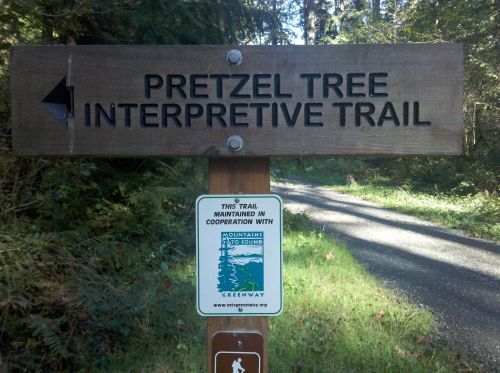 Sign for Pretzel Tree Interpretive Trail, with a logo for trail maintenance cooperation. Forest path visible in background.