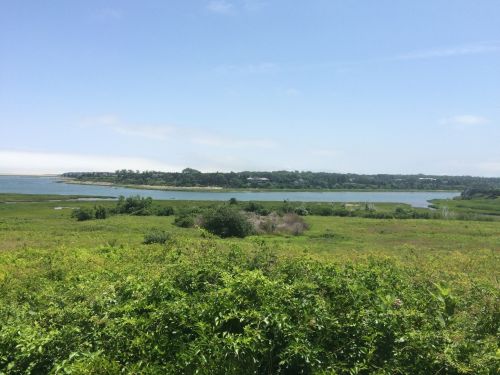 A serene landscape featuring a calm river surrounded by lush greenery and distant hills under a clear blue sky.