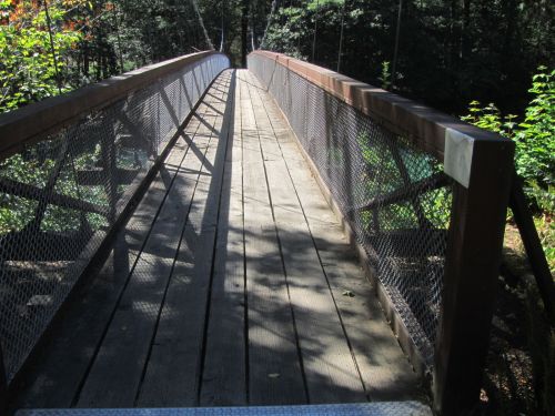 A wooden bridge with a mesh railing spans a forested area, surrounded by trees and dappled sunlight.