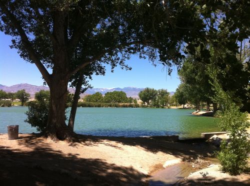 A serene lake surrounded by trees, with mountains in the background under a clear blue sky.