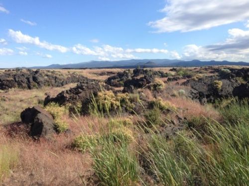 A rocky landscape with sparse vegetation under a blue sky and distant mountains.