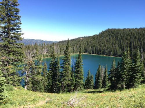 A serene lake surrounded by lush green trees and mountains under a clear blue sky.