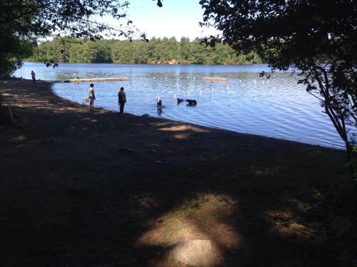 People enjoying a sunny day by a calm lake, with trees lining the shore and a few floating objects on the water.
