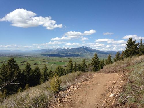 A scenic view of a mountain range under a blue sky, with green fields and trees in the foreground.