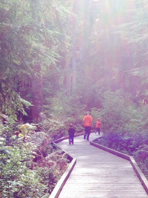A family walks along a wooden path through a lush, green forest, surrounded by tall trees and sunlight filtering through.