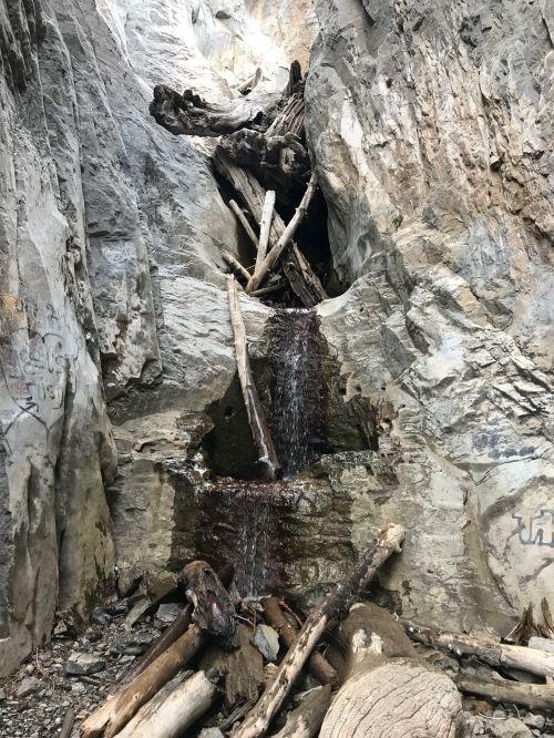A small waterfall flows over rocks, surrounded by large boulders and fallen logs in a rugged, natural setting.