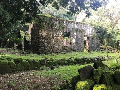 Ruins of an old stone building surrounded by lush greenery and moss-covered stones.