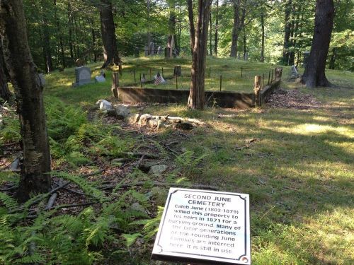 A cemetery surrounded by trees, featuring a stone enclosure and a sign about its history and current use.