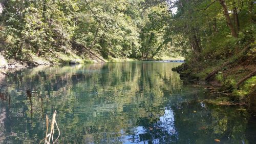 A serene river surrounded by lush green trees, reflecting the vibrant foliage on its calm surface.