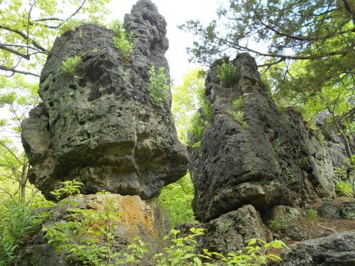 Two large, moss-covered rock formations surrounded by greenery in a forested area.