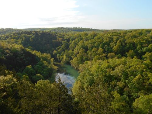 A scenic view of lush green forests surrounding a calm river, under a clear blue sky.