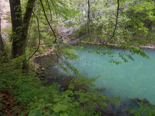 A serene, turquoise pond surrounded by lush green trees and rocky cliffs, reflecting the natural beauty of the area.